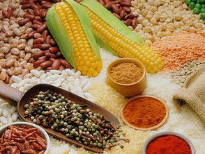 備孕須知 常吃三種助排卵食物，助力好孕降臨