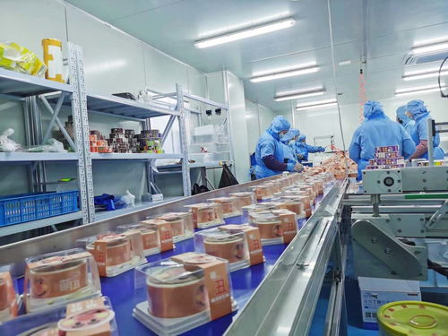 數(shù)據(jù)驅(qū)動 日用百貨企業(yè)的精準(zhǔn)定位與市場開發(fā)