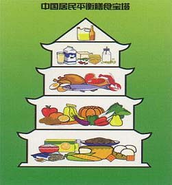 平衡膳食寶塔 構(gòu)建健康飲食的科學(xué)指南